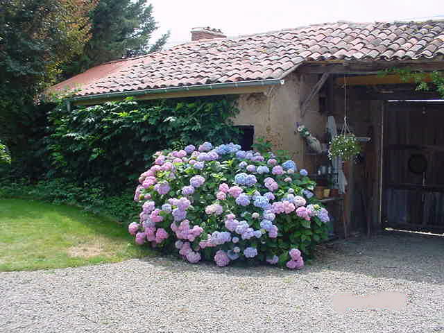 Chambres à vendre